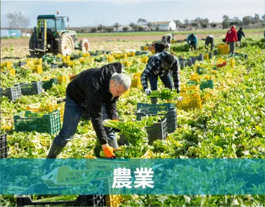 農業